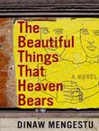 THE BEAUTIFUL THINGS THAT HEAVEN BEARS