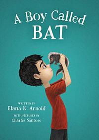 A BOY CALLED BAT