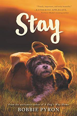 STAY