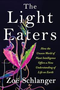 THE LIGHT EATERS