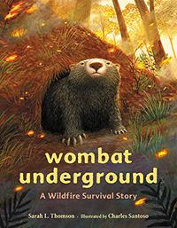 WOMBAT UNDERGROUND